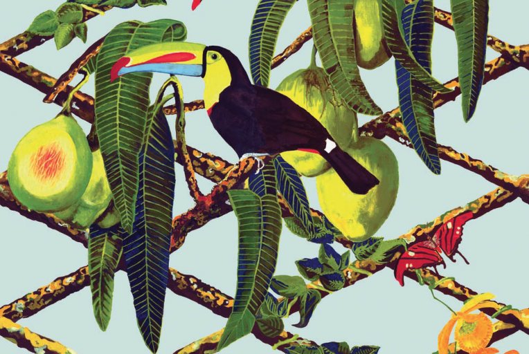 Oiseaux Tropicaux Deco Actuelle